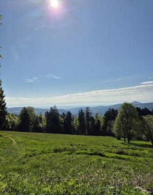 Rocher de Rathsamhausen et Neuntelstein par les GR® - Rothlach, Le Hohwald - 4