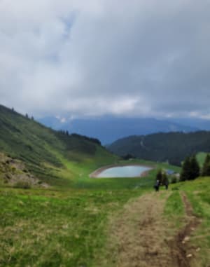 Balade des marmottes - Arâches-la-Frasse - 34