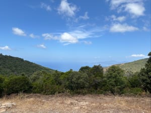 Sur les crêtes de Coti-Chiavari - Coti-Chiavari - 8