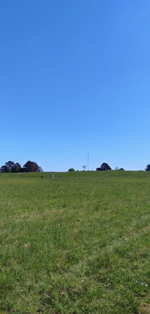 Plateau de Malzeville et promenade dans les bois - Dommartemont - 12
