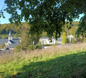 Saint-Wandrille, piliers et hêtraies remarquables - Saint-Wandrille-Rançon - 15