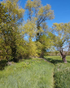 Belle randonnée au gré des chemins de St-Jean-de-la-Croix - Saint-Jean-de-la-Croix - 8