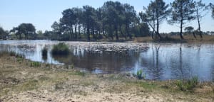 Balade au Lac d'Hourtin - Christophe - 4