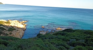 Sortie au Cap Taillat - Sylvie - 31