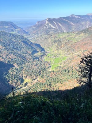 Massif de la Chartreuse et excursion féerique en forêt - Saint-Même-d'en-Haut - 3