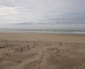Balade sur la côte depuis Montsoucis, par la forêt de la Coubre - Les Mathes - 3