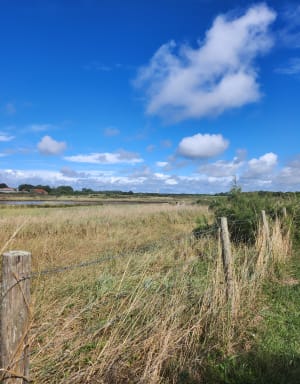 Balade sur la plage de Marennes - Marennes-Hiers-Brouage - 12