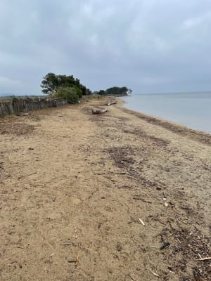 Du vieux salin de Hyères à la Londe - Laurent - 9