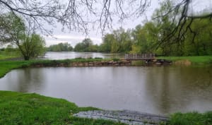 Balade sympa à Epervans le long de la Saône et de la Darse - Épervans - 10