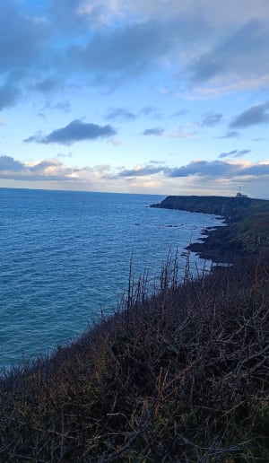 Korte rondleiding door Pointe du Grouin via Port Mer. - Cancale - 9