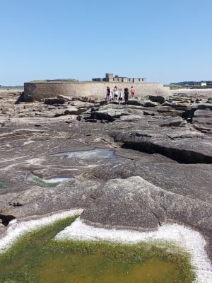 Balade à Guidel-plages - Fort bloqué - Guidel-plages - Guidel - 9
