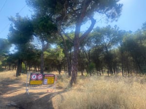 Promenade au Mont Saint-Loup - Agde - 2
