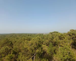 Le Pey de la Blet et Pays de Monts - La Barre-de-Monts - 9