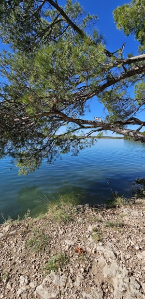 Ontspannende wandeling in Calas en rond het Réaltor-bekken - Le Clos des Prieurs, Calas - 50