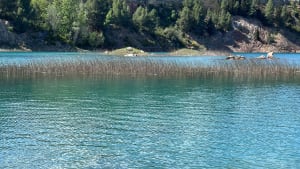 Balade à Loupian - Loupian - 11