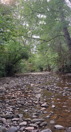 Promenade du Causse Blanc au fil de la Diège - GAELLE - 3