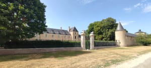 Bord de Loire et forêt ! - Saint-Denis-de-l'Hôtel - 12