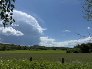 D'Argnat à Egaules par les chemins forestiers - Sayat - 3