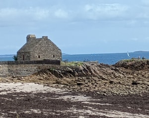La Trinité sur mer et la pointe Ty Guard par le sentier cotier - La Trinité-sur-Mer - 46