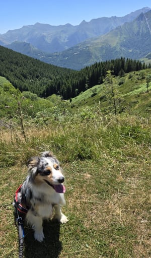 Au cœur du Val d'Azin et paysages à couper le souffle - Arbéost - 16