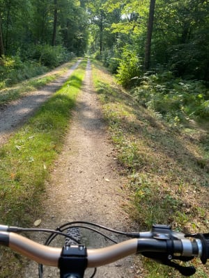 Balade nature à VTT à Essegney - Essegney - 3