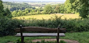 Sentier des jacinthes - Sain Jans de Cappel - 7