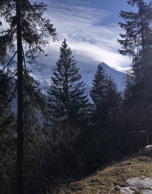 Boucle du Chemin des Gardes - Chamonix-Mont-Blanc - 6