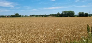 La voie verte de la Pévèle : Boucle Avelin -Mérignies - Avelin - Avelin - 8