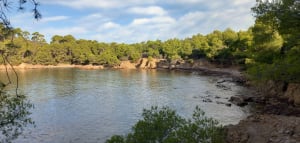 Entre terre et mer, du côté de Bregancon - Bormes-les-Mimosas - 42