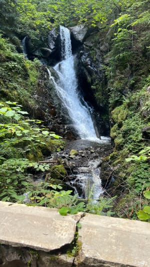 Lake Lauch via de watervallen - Linthal - 21