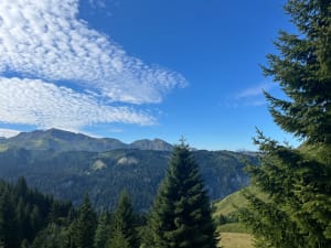 Petite randonnée en Haute-Savoie à travers les myrtilles - Châtel - 6