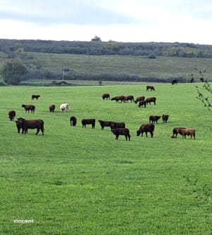 Petite promenade autour d'Apchat par Sagheat - Vincent - 2