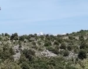 Vadrouille sur les hauteurs de Nice et panorama à 360° - Ester - 3