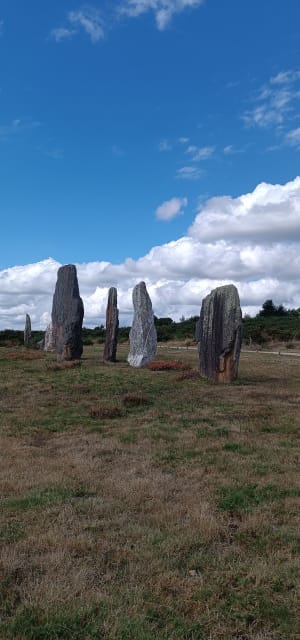 Mégalithes et landes depuis Saint-Just - Saint-Just - 8