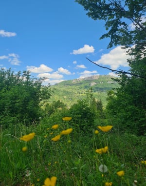 Magnifique balade autour de Mouthier-Haute-Pierre - Ouhans - 10