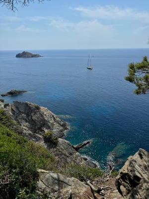 Sentier des crêtes sur l'île de Port-Cros et air marin - Île de Port-Cros - 7