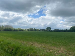 Gesnes le Gandelin, le gros chailloux - Gesnes-le-Gandelin - 3
