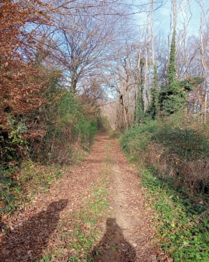Saint-Lattier et La Baudière - Saint-Lattier - 5