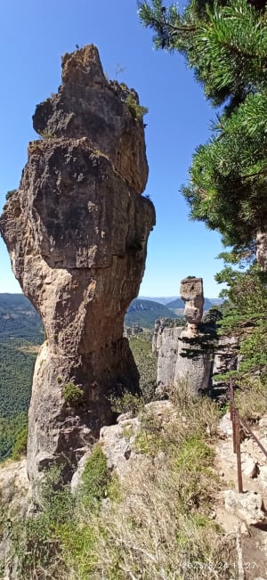 Huttopia : vase de Sèvres, vase de Chine et vautours fauves - Saint-Pierre-des-Tripiers - 6
