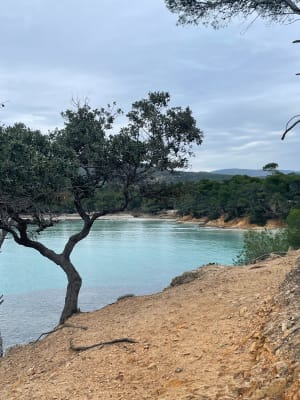 Entre terre et mer, du côté de Bregancon - Bormes-les-Mimosas - 30