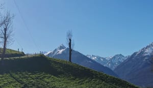Marche sous la pluie de Vier-Bordes aux Bennes - Vier-Bordes - 3