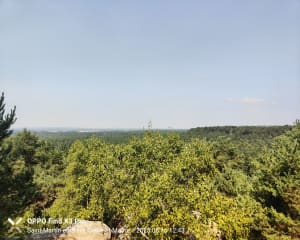 Promenade des Gorges de Franchard - Fontainebleau - 5