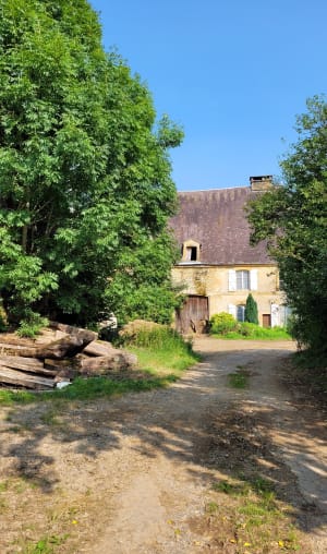 Plein d'oxygène et de vigueur sur les sentiers d'Elan - Elan (commune de Flize) - 11
