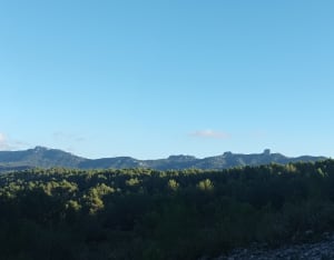 Les terrils des Molx de Biver - Gardanne - 6