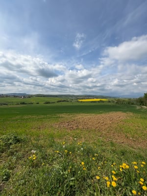 Sur les hauteurs de Mandrevillars - Mandrevillars - 6