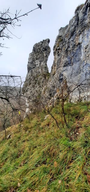 Combe Saint Foy - Messigny-et-Vantoux - 8