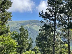 Boucle de la Réserve Naturelle à Prats-de-Mollo-la-Preste - katia - 11