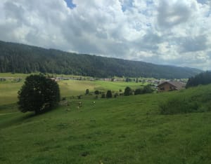 Petite boucle du creux (Bois-d'Amont) - Bois-d'Amont - 18