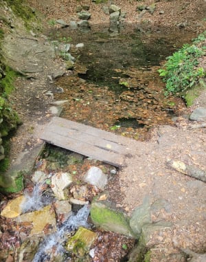 Gorges de Villiers, leurs grotte et source d'eau chaude - Charlaine - 2