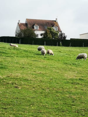 Autour de Presles en Brie - Presles-en-Brie - 8